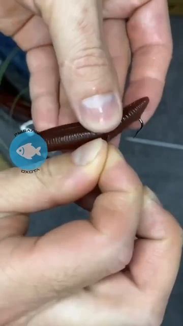 Видео от За Трофеем: Охота и Рыбалка