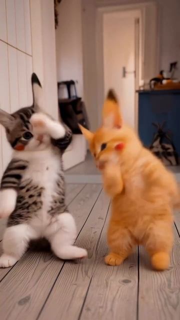 Eeb6c9be9200864485413664b05bb461