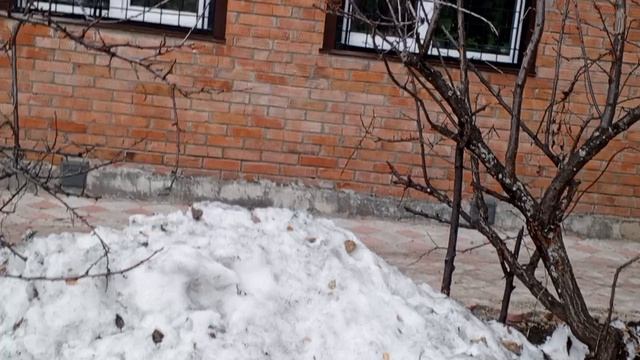 с добрым утром