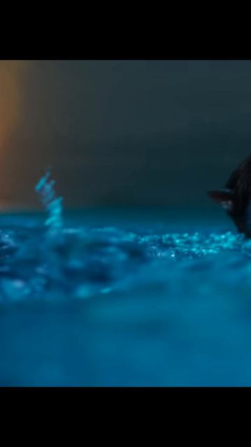 #фильм #avatar #чтопосмотреть #аватар #edit