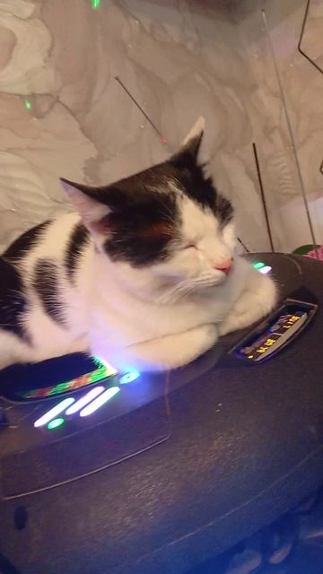 диджей топ 👆 просто бомба пушка