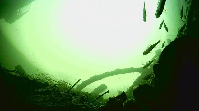 1000015206.mp4Волга гл.2м.15.04.2026г.