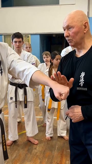 Кёкусинкай / Янцу / Отводящие блоки / Сихан Фомин В.П. (14.03.26) #49