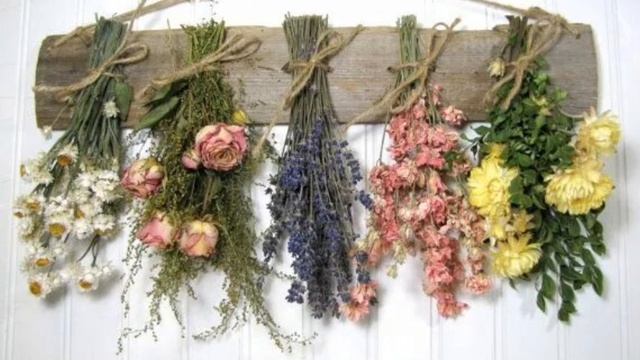 Вяленький цветочек обманывает своих подписчиков