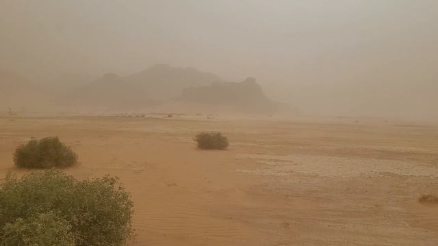 Песчаный шторм 