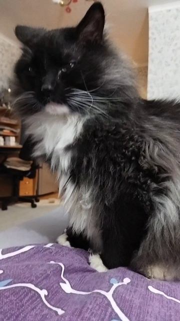 Мишка 😻😻😻