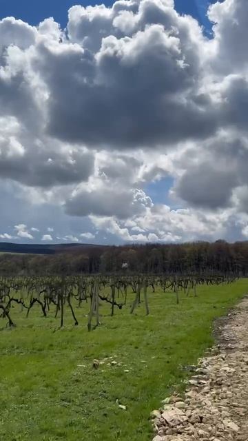 Вид, к которому невозможно привыкнуть. 💥