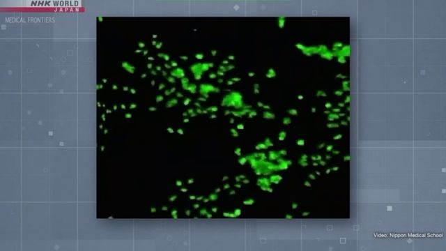 H₂-терапия и медицинская помощь Японии