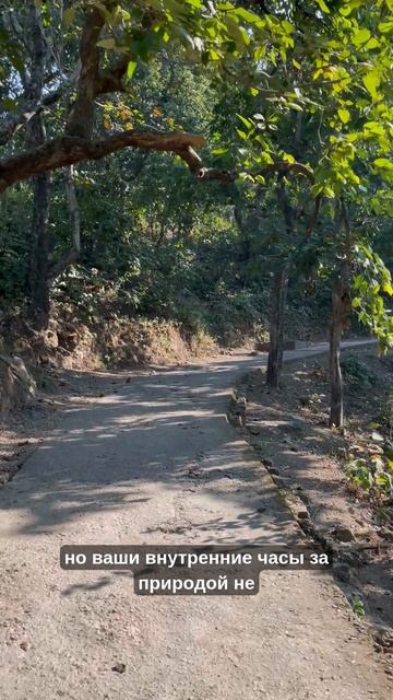 ВЕСЕННЯЯ АСТЕНИЯ