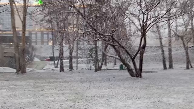 Рубрика Прогулка