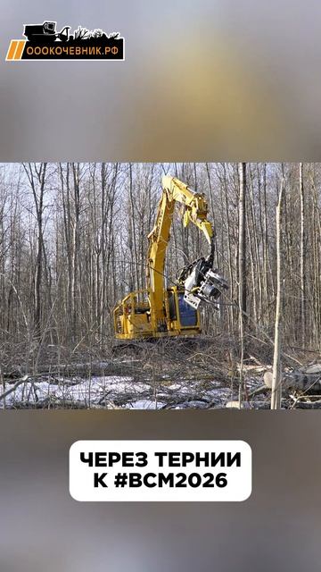 Расчищаем от древесно-кустарниковой растительности в Великом Новгороде