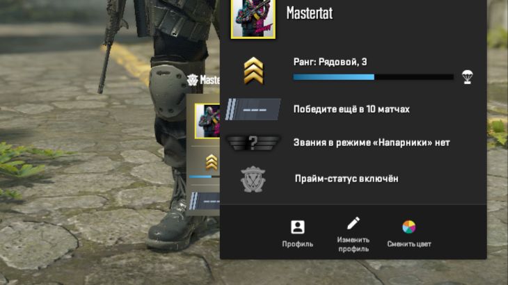 Counter-Strike 2 соревновательный Silver