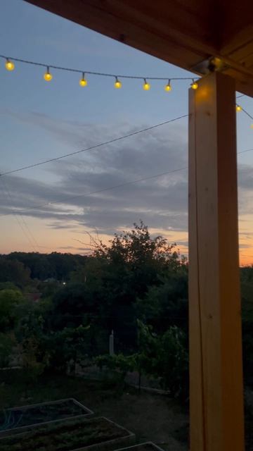 Летний вечер на даче