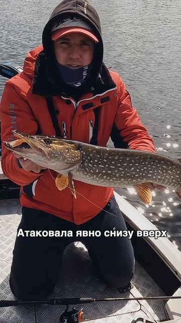 🤔Разнообразие приманок и умение подстраиваться под изменения делают результат!