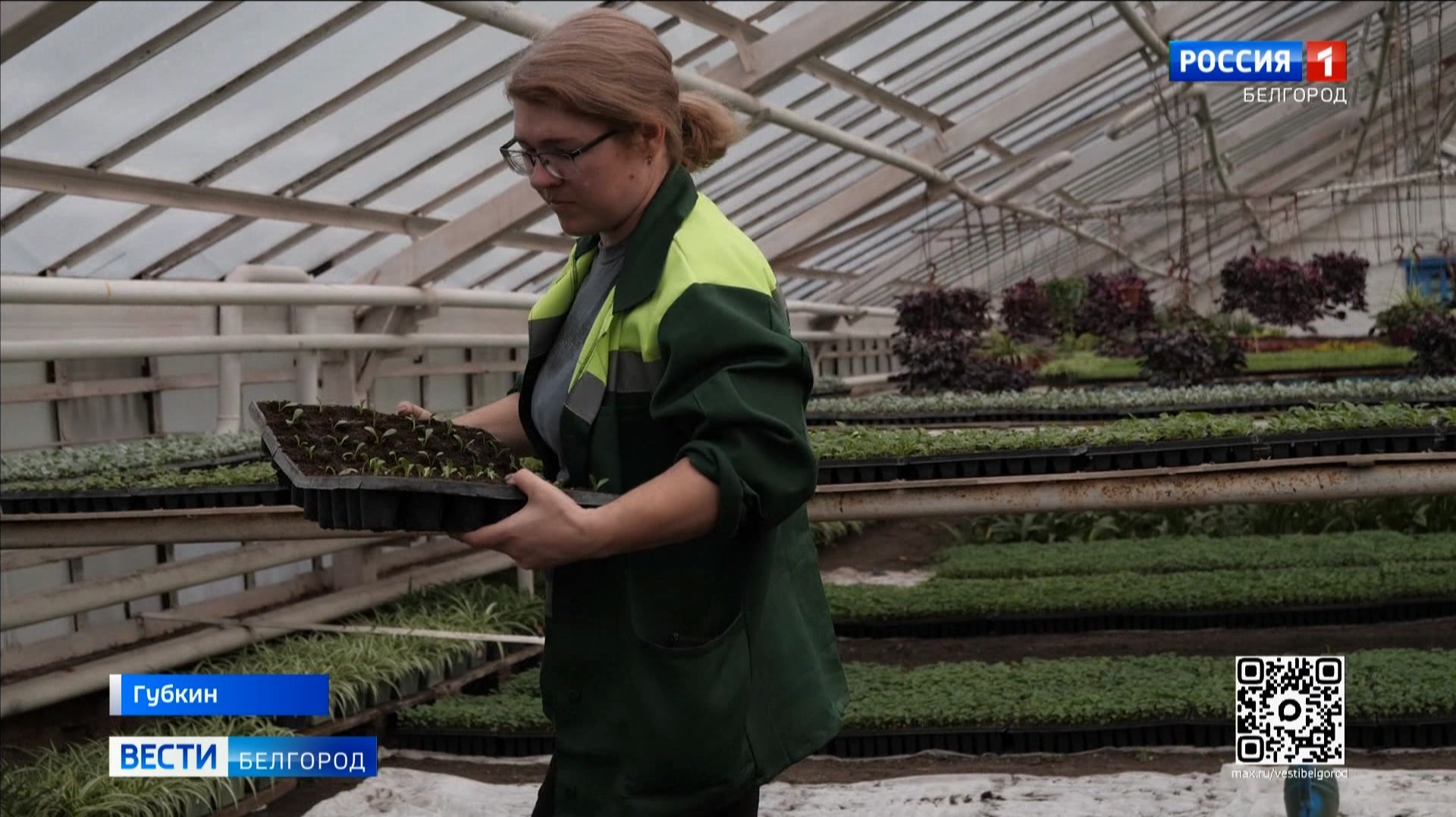 В Губкине готовятся к весеннему озеленению города