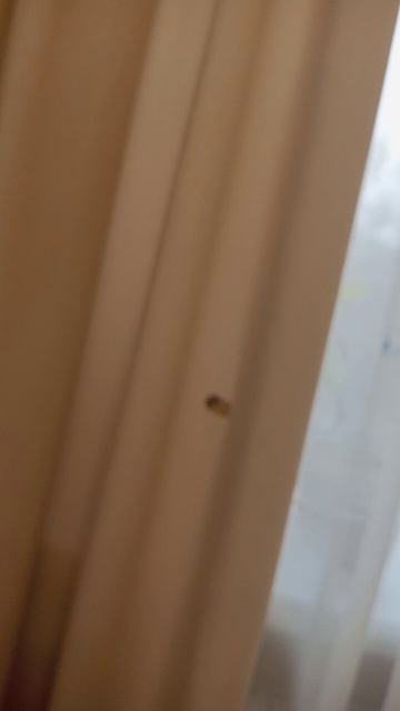 я же говорила то что я буду клеить эти стикеры везде😅