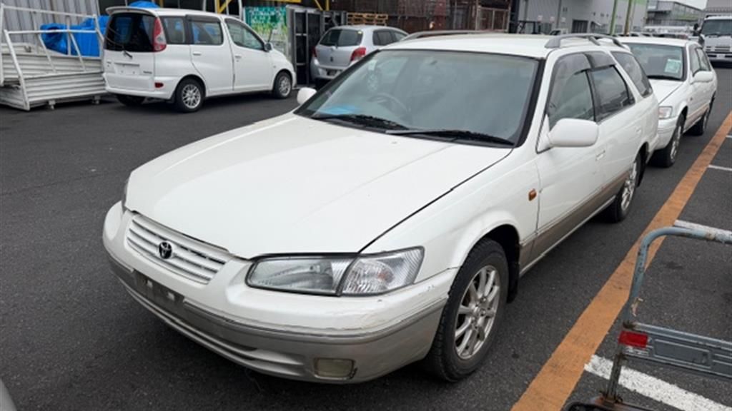 Share SXV20W-0040281