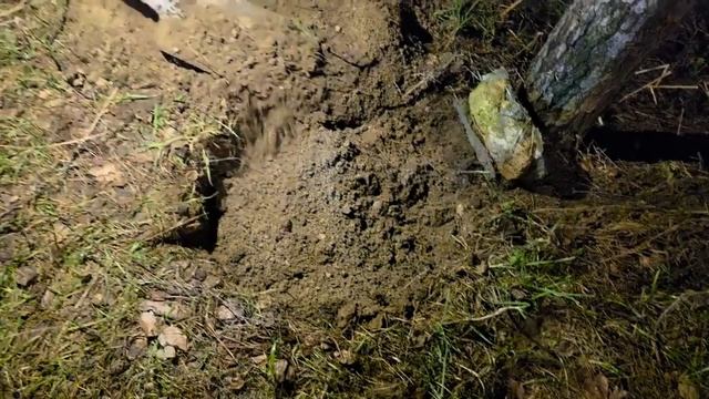 ПУСЕНОК УШЕЛ В ВЕЧНОСТЬ...ИНГА ХОСРОЕВА.