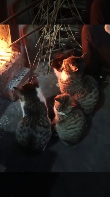 Весна еще не раскочегарилась