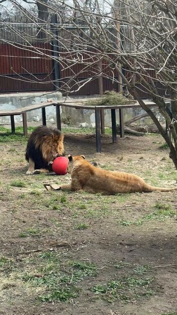 Парень понимает!