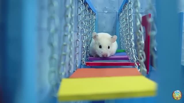 Хомячок сбегает из опасного огненного лабиринта! часть 4