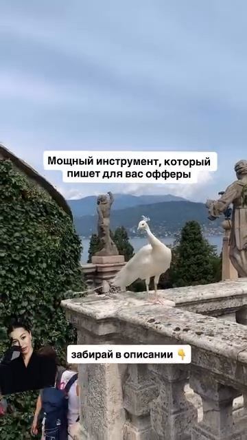 CHAT GPT напишет оффер за вас Https://t.me/Liliyawinner/1433