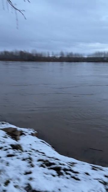 C4d24089908db7754f24d0476687b47e