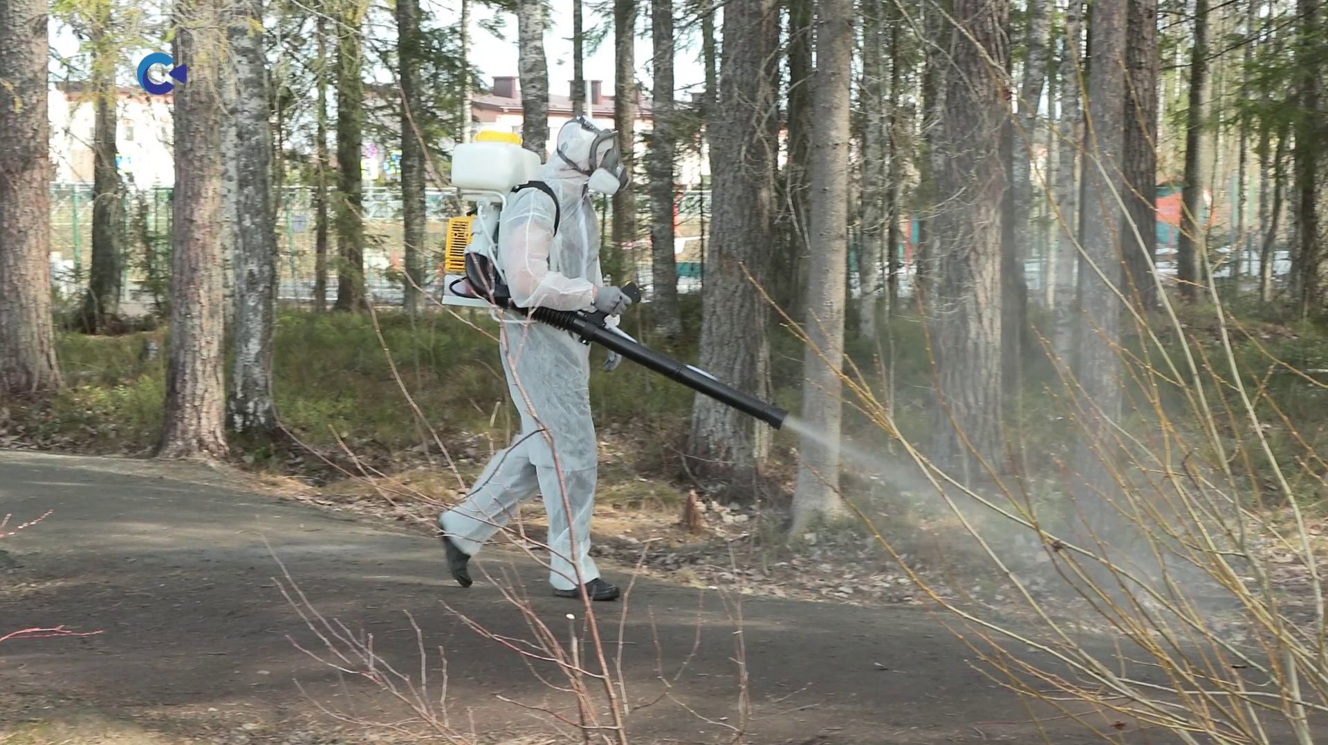 Парки и скверы Петрозаводска начали обрабатывать от клещей