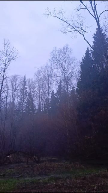 Долина реки Самынки 15.04.2026.mp4