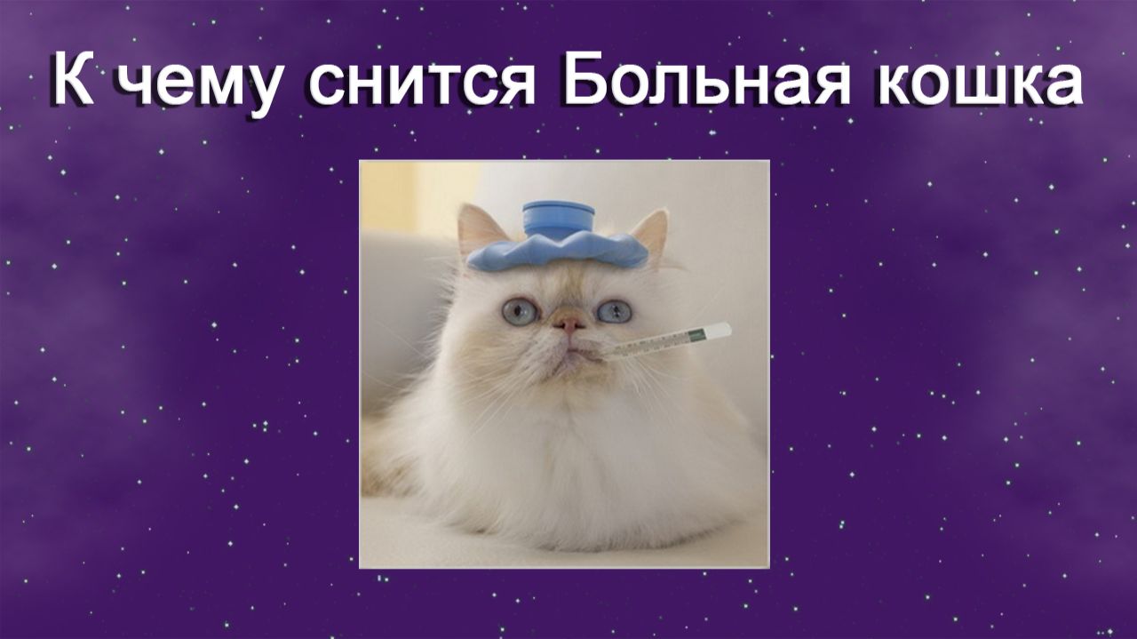 К чему снится Больная кошка - толкование сна