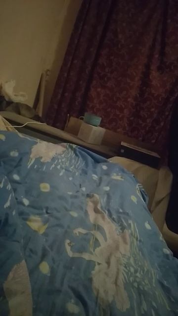 Вечно Алиса напоминает что я бомж