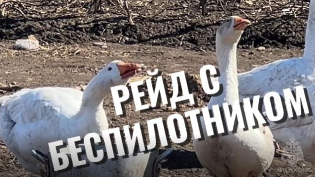Рейд с Беспилотником