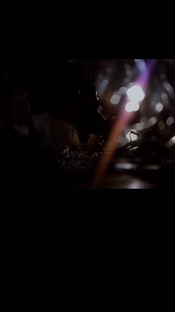 Проект «Конец света» (2026)
#экшен #рекомендации #остросюжетныйфильм #фильм #фильмнавечер #filmedit