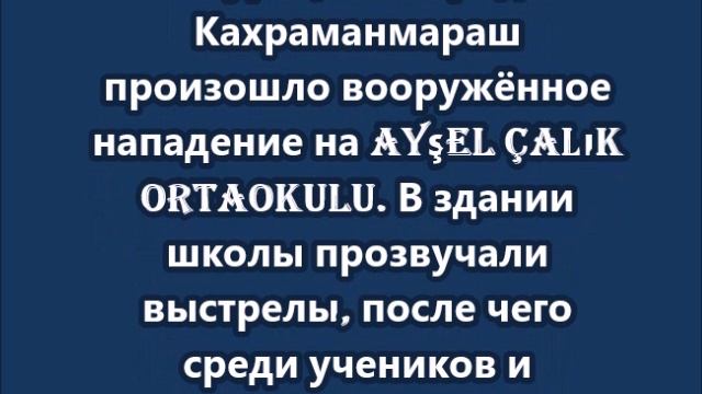 Четыре человека погибли в результате стрельбы в турецкой школе, ещё 20 ранены