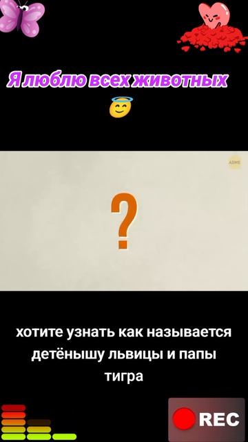Я люблю всех животных😇