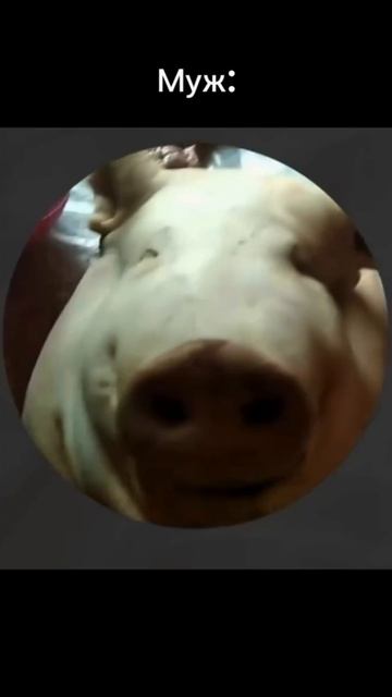 Немного набрала лишнего💪 как считаешь норм?