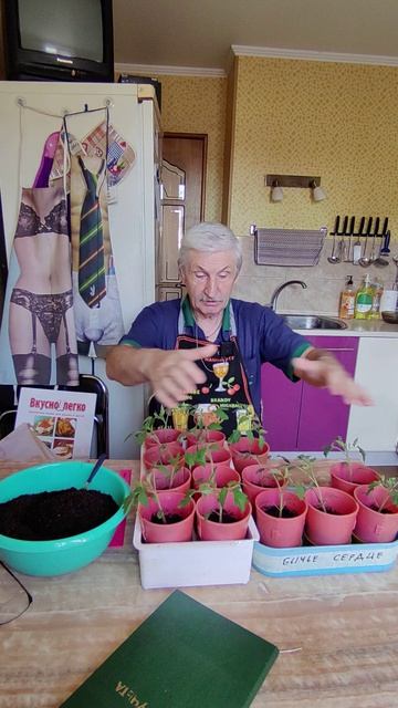 ТОМАТЫ растут, подсыпаем землю...