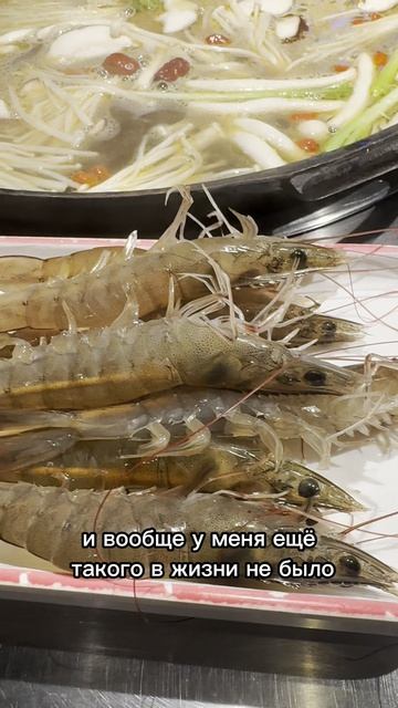 Заказал ужин, а получил питомцев. Варю с чувством вины