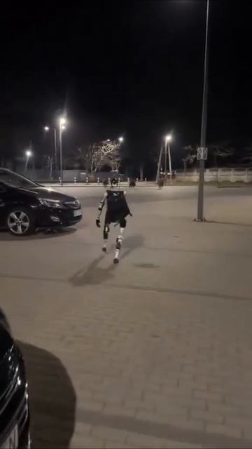 Робот-гуманоид против стаи кабанов: кто кого?