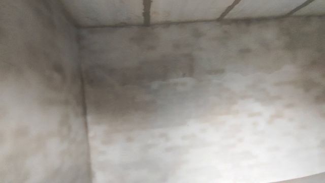 ТЛТ, 40 лет Победы 43л _50.4_ видео внутри