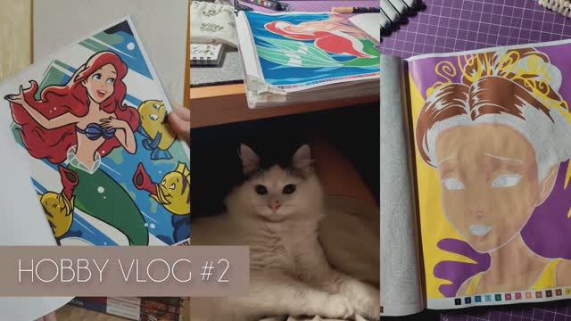 2481dee562c3fae953588d602ad33372