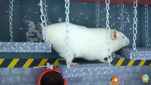 Хомячок убегает из опасного цветочного лабиринта! 6 часть