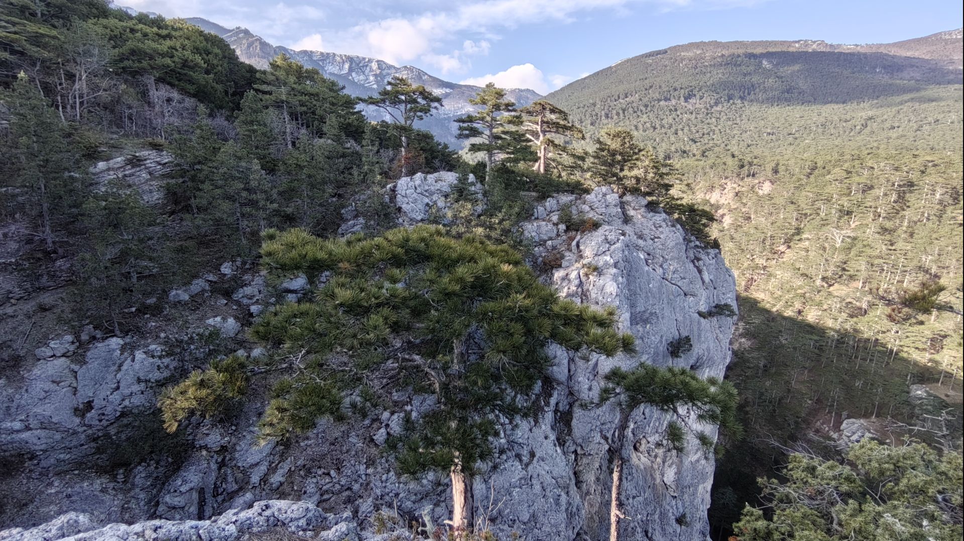 14 апреля 2026 г. Ущелье Уч-Кош #ялта #ялта2026 #учкош #рекабала #баланкая #баланынкаясы