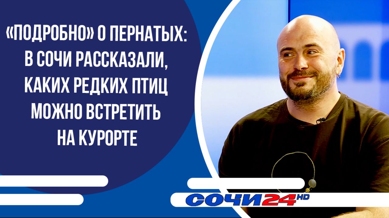 В Сочи рассказали, каких редких птиц можно встретить на курорте | ПОДРОБНО 08.04.2026