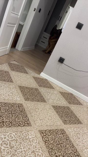 Такой же СДВГшник как и мать 😁🥰