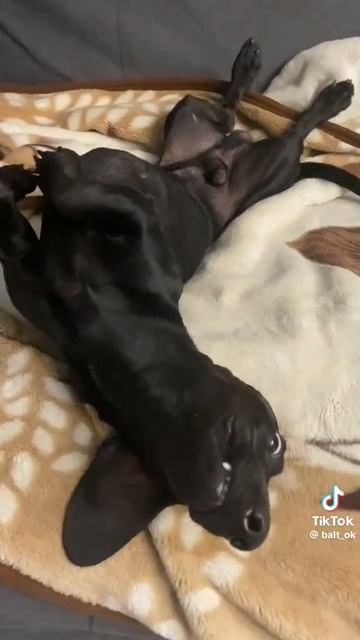 осторожно маты