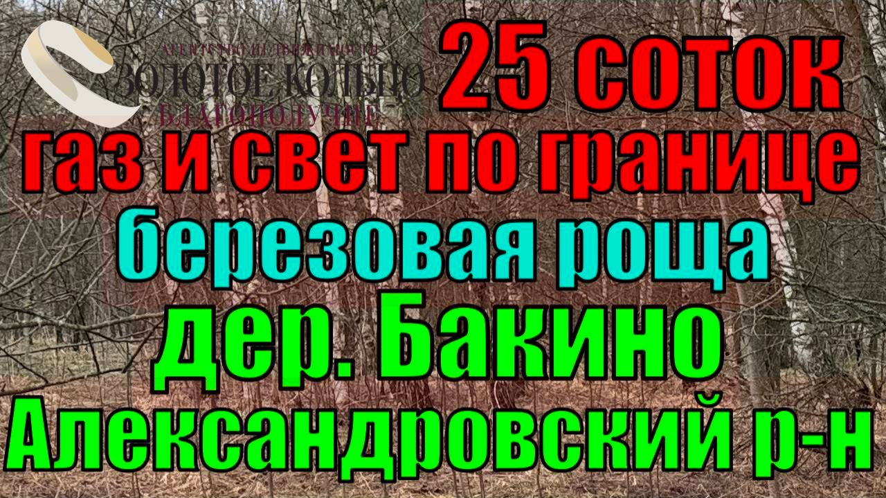 Продается участок 25 соток в д.Бакино, Александровский р-н, Владимирская обл. Газ и электричество.