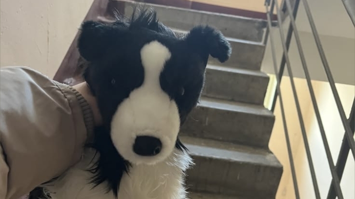 🪻~Vlog~ еду~ к бабушке~🪻