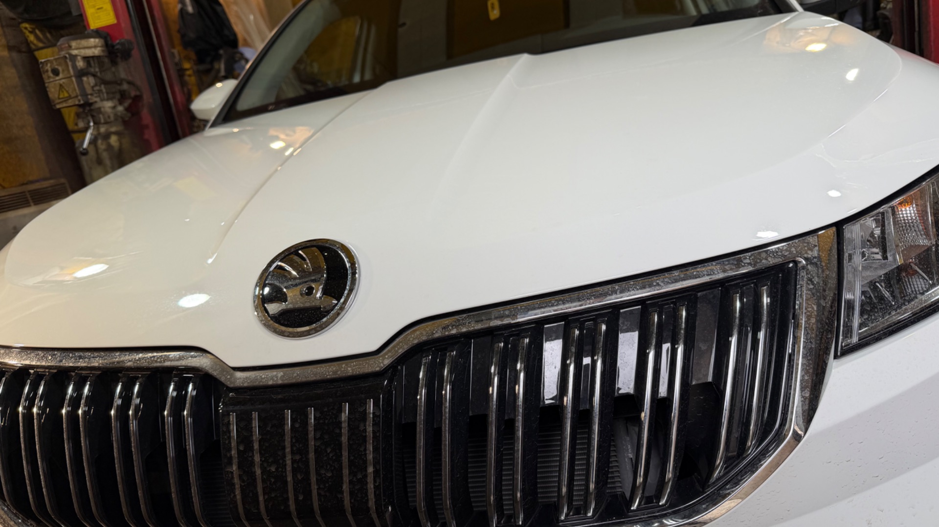 Антикоррозийная обработка материалами Dinitrol  Skoda Karoq (Шкода Карок) 2025 г.в.