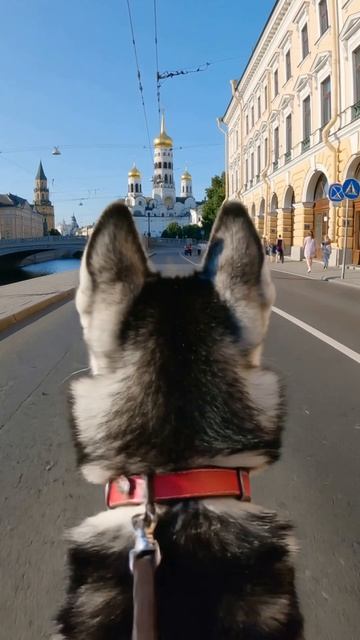 WALKING_TOUR_OF_MOSCOW_I_SHORTS#short